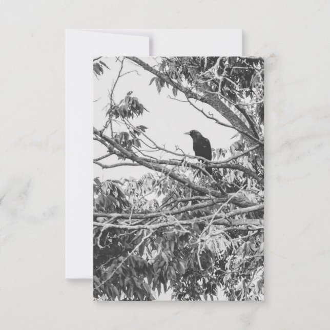 Gothic Raven Postcard (Front)