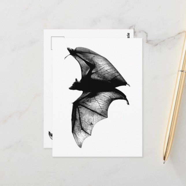 Gothic Vampire Bats Postcard (Front/Back In Situ)
