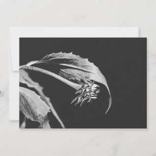 Gothic Wilting Flower Photo Reprint Invitation