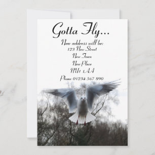Gotta Fly - Nouvelles Cartes D'Adresse