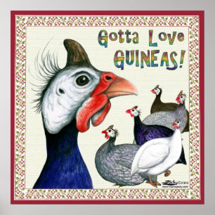 Gotta Love Guineas! Poster