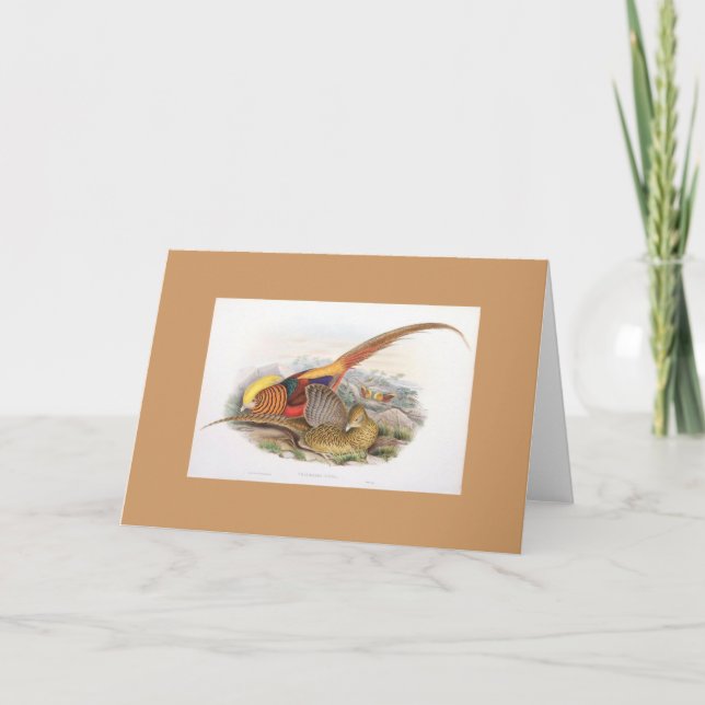 Gould — Golden Pheasant Card (Front)