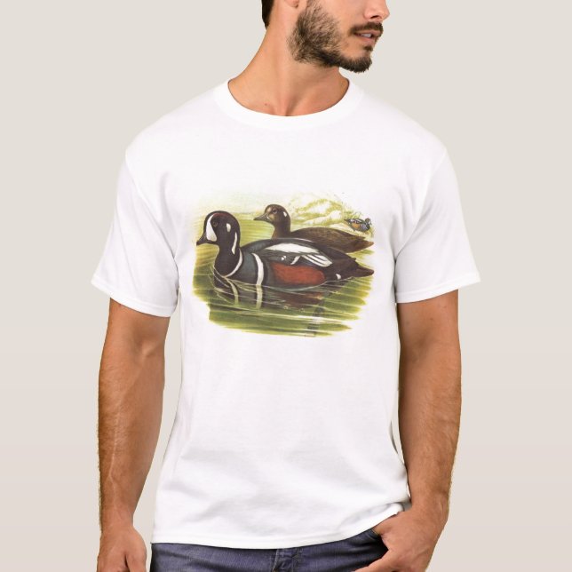 Gould - Harlequin Duck - Histrionicus histrionicus T-Shirt (Front)