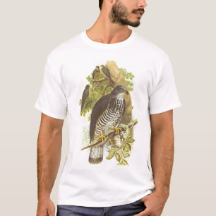 Gould - Honey Buzzard - Pernis apivorus T-Shirt