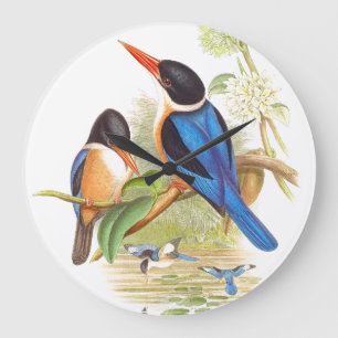 Gould Kingfisher Birds Wall Clock