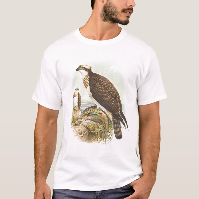 Gould - Osprey - Pandion haliaetus T-Shirt (Front)