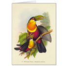 Gould - toucan à gorge rouge