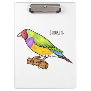 Gouldian finch bird cartoon illustration clipboard