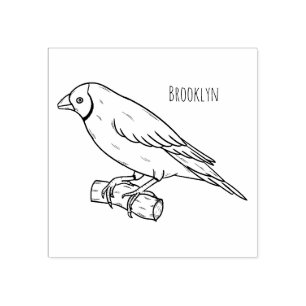 Gouldian finch bird cartoon illustration rubber stamp