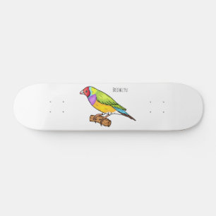 Gouldian finch bird cartoon illustration skateboard