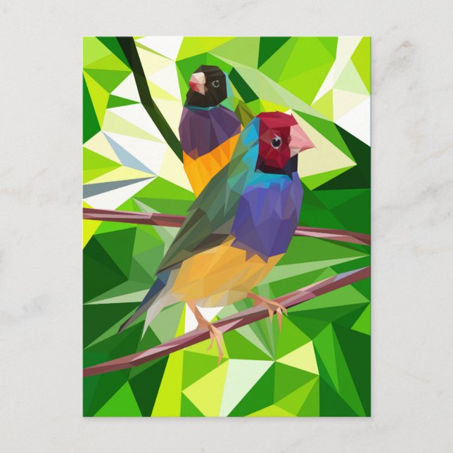 Gouldian Finch Duo Postcard (Front)