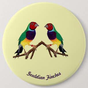 ~ Gouldian Finch ~ Personalised ~ 6 Inch Round Button