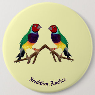 ~ Gouldian Finch ~ Personalized ~ 6 Inch Round Button