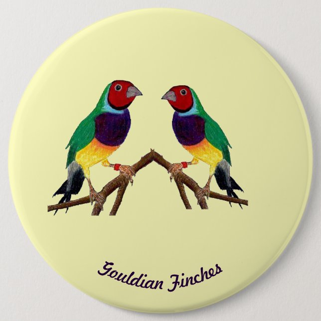 ~ Gouldian Finch ~ Personalized ~ 6 Inch Round Button (Front)