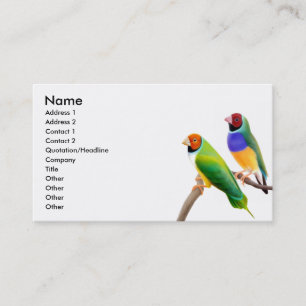 Gouldian Finches Business Card