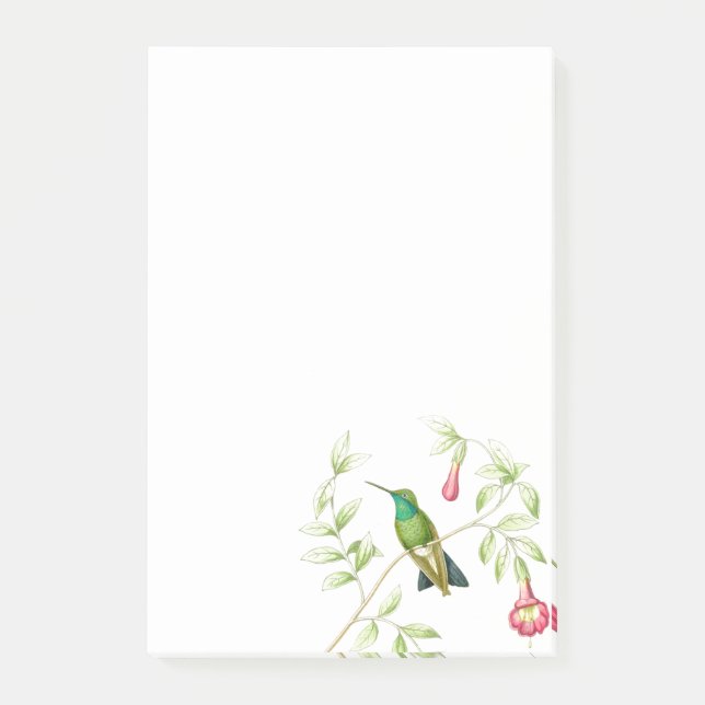 Goulds Hummingbirds Post it Notes (Front)