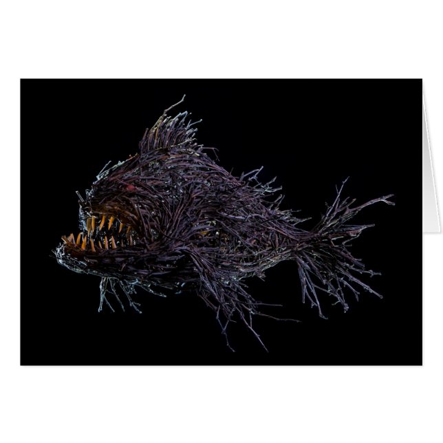 Goully Grouper (Devant horizontal)