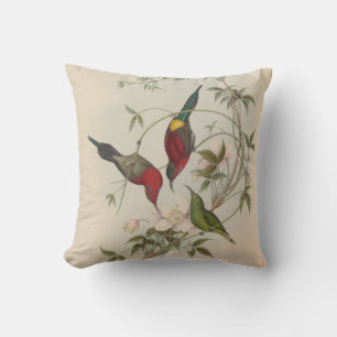 Goulpourah Sun-Bird by John Gould Throw Pillow