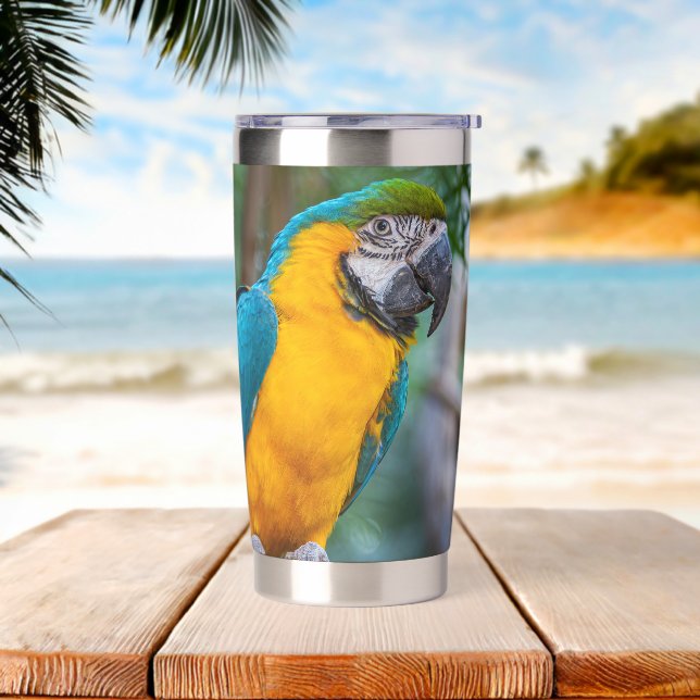 Gourde Isotherme Blue-and-Yellow Macaw (Avant)