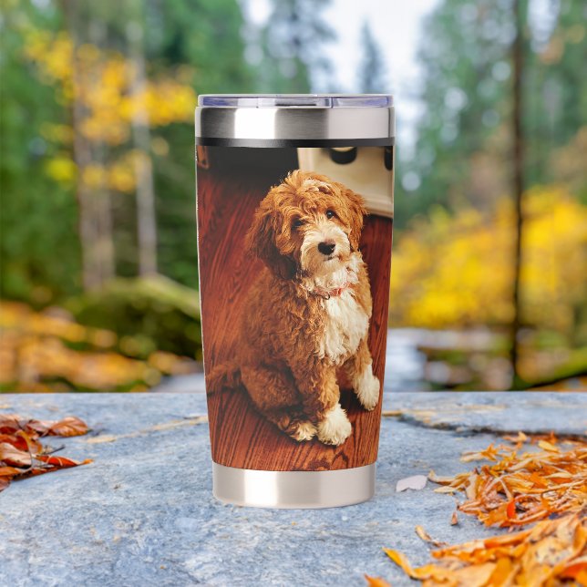 Gourde Isotherme Dog Mom Pet Owner 2 Photos  (En extérieur (pivoté))