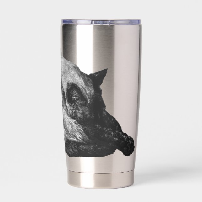 Gourde Isotherme nap sous ombre argentée (Couvercle)