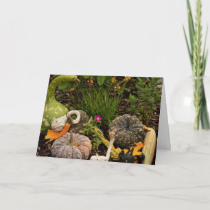 Gourds and Pumpkin Digital Art Card