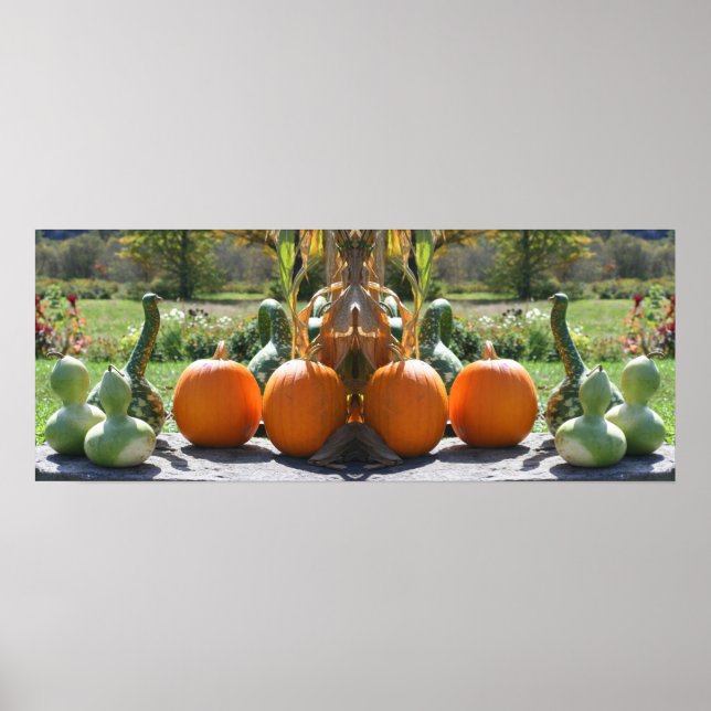 Gourds And Pumpkins Fall Mirror Abstract Poster (Front)
