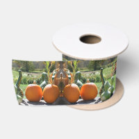 Gourds And Pumpkins Farm Stand 2 Fall