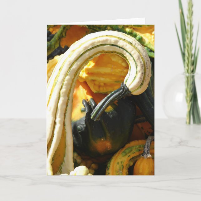 Gourds Card (Front)