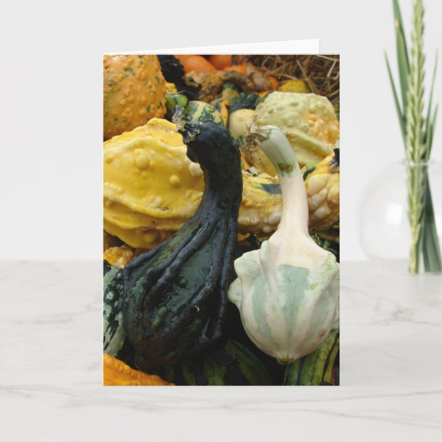 Gourds Card (Front)