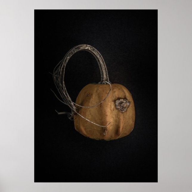 Gourds No 13 Colour Version Poster (Front)