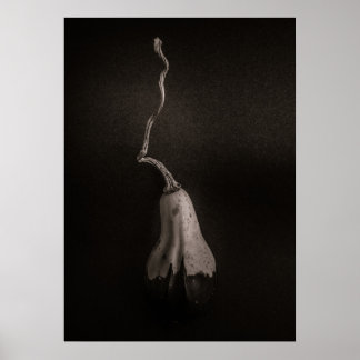 Gourds No 16 Poster