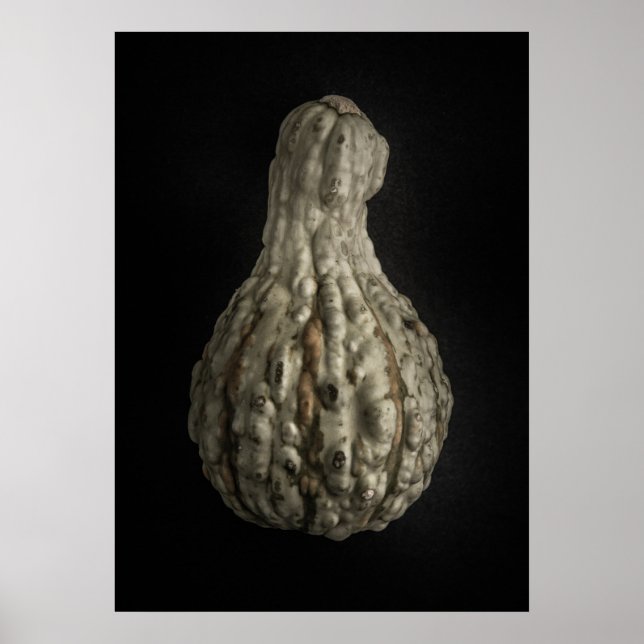 Gourds No 8 Colour Version Poster (Front)