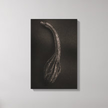 Gourds No 9