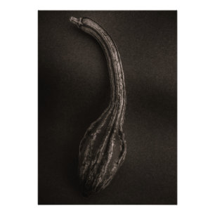 Gourds No 9 Photo Print
