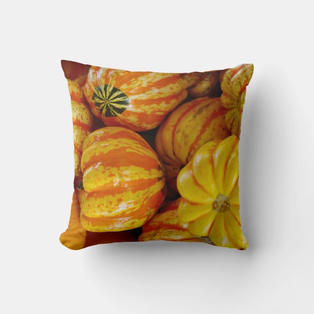Gourds Pumpkins Fall Autumn Rustic Country Throw Pillow (Front)