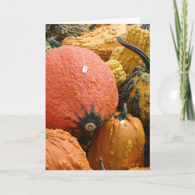 Gourds, Thanksgiving Holiday Card (Front)