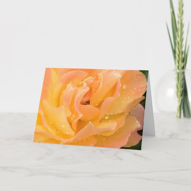 Gouttes de pluie sur la carte vierge de roses (Devant)