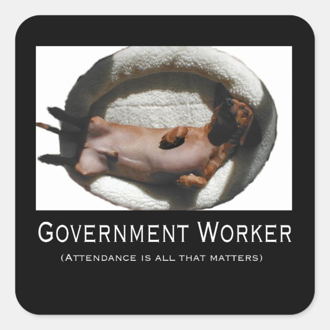 Government Worker Stickers (Front)