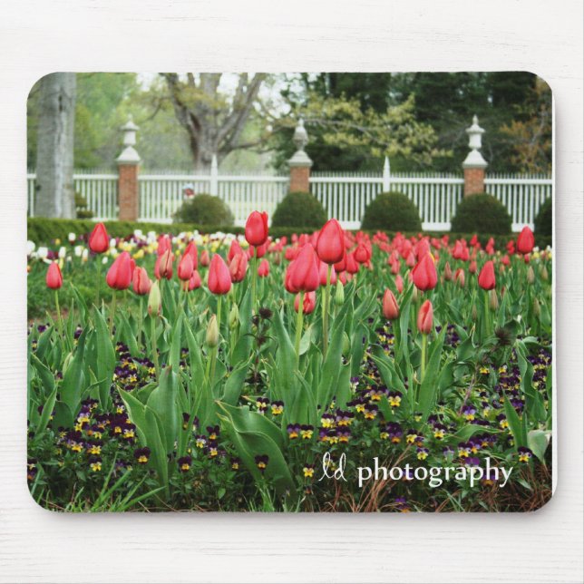 Governor's Tulips WM Mouse Pad (Front)
