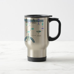 GPCR pathway Travel Mug
