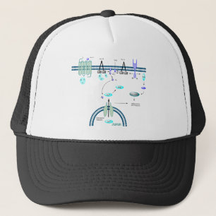 GPCR pathway Trucker Hat
