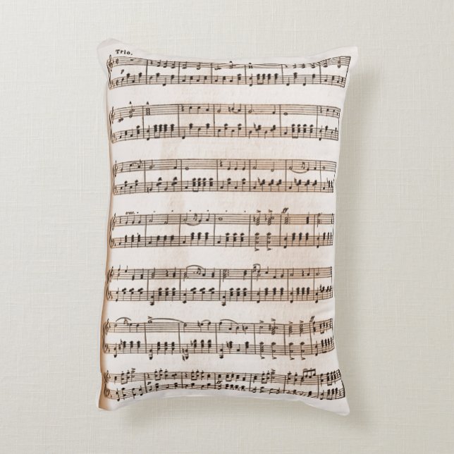 Gr Accent Pillow (Back(Vertical))