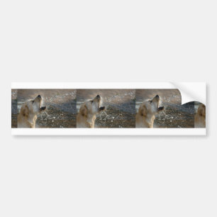 gr chasing water bumper sticker