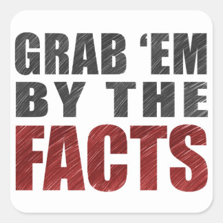 Grab 'em by the Facts 20 Stickers | Resist Trump
