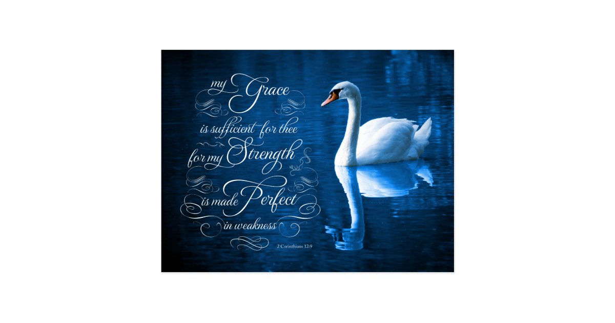Grace Bible Verse Mute Swan Postcards Zazzle.ca