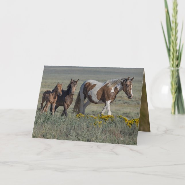 Grace et ses deux volées Wild Horse Carte de voeux (Devant)