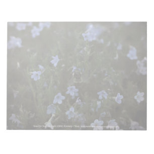 Grace for Bees Notepad