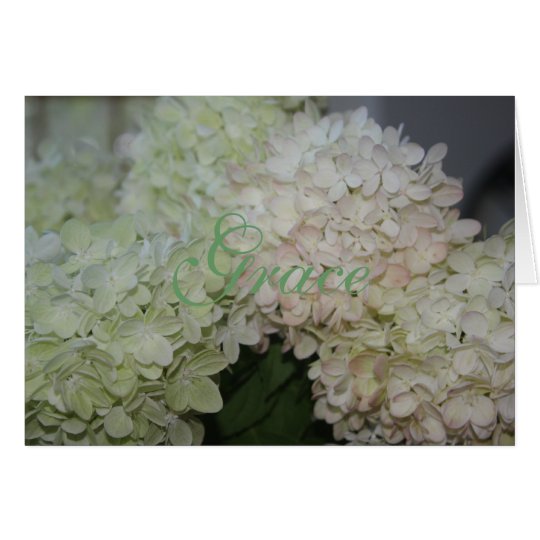Grace Hydrangea Card