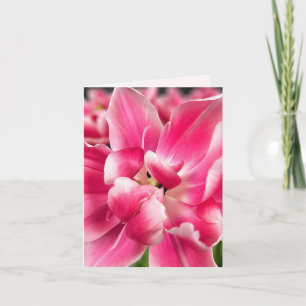 Grace in Every Season Pink Tulip Folded Greeting Card